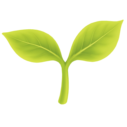 leaf sprout