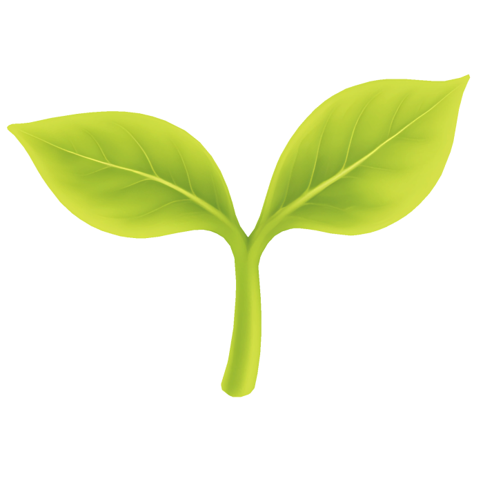 leaf sprout