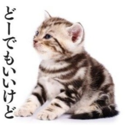 ʚɞ
