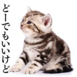 ʚɞ icon