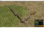 Pacotrex