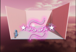 Aseel..