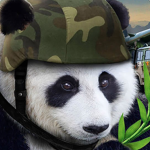 Panda Militant Fan Club