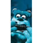 AyoDory