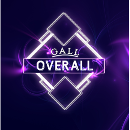 [ GallOverall ] test server