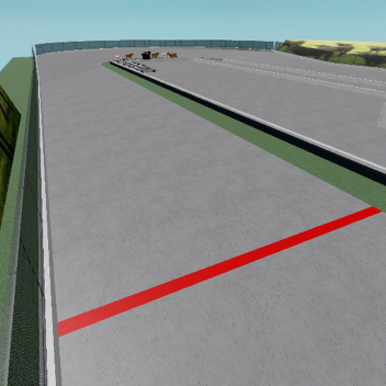 Steer n' Cattle Raceway Park