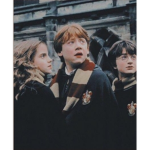 {~Harry Potter is dead~}