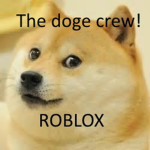 The doge crew!