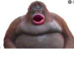 Da Monke Patrol