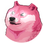 Moderator Doge
