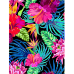 the tropical zone