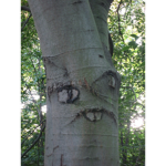 The Real Tree Squad
