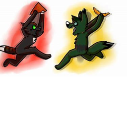 How the War Started