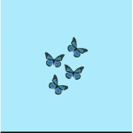 Elisha's Butterflys