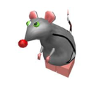 Lucy’s rats x