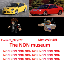 THE NON MUSEUM