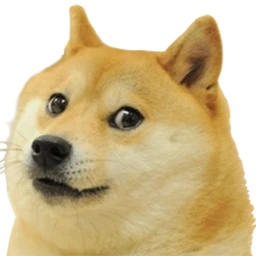 doge castle icon