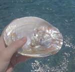 ♯PRECIOUSLE