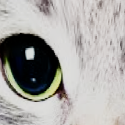 cat game