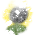 Sunflower group !!!!!