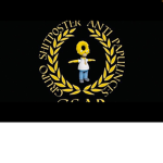 Anti-Grasa