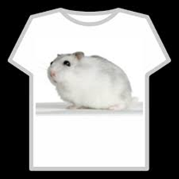 training hamster ranger spy thing