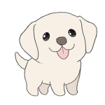TEAM LABRADOR FOREVER