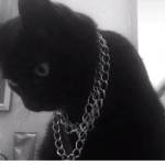 $BLEEP$$