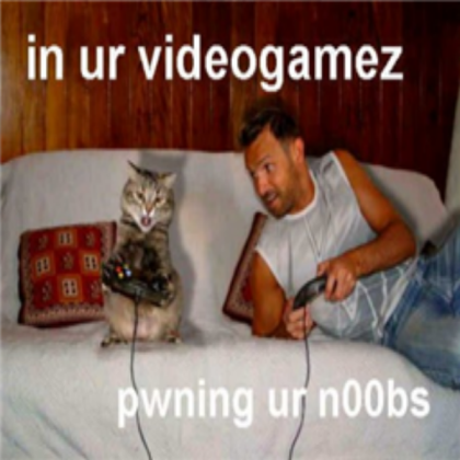 Cats Pwn Roblox decal