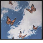 {|butterflies|}