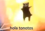 team de los noobs