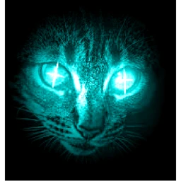 FELINANCE icon