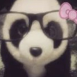 ~panda pets~