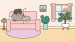 Pebble Town!