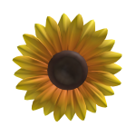 Sunflower🌻2025
