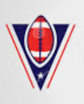 TFL(FF LEAGUE