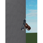 Duck—