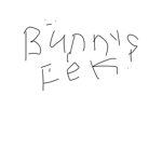 bunnys yAy