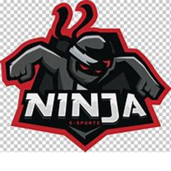 ninja game