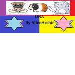DNA Group