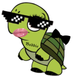 The turtle Legacy