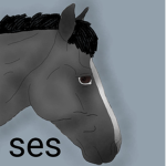 Star Equestrian Stables