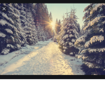 Snowy Night playz Fan #######