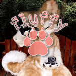 You're like a fluffy