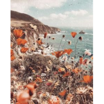 |-Lush Aesthetics-|