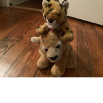 Mila&cheetah fun club