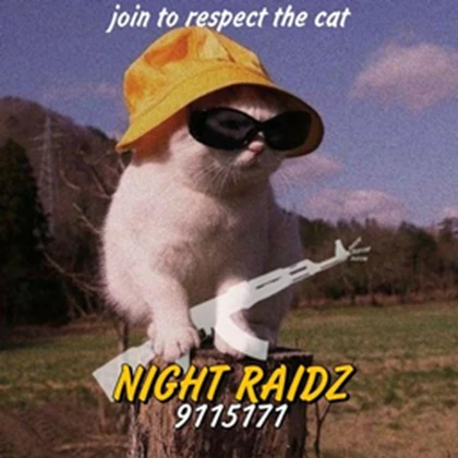 れight Raidz' Roblox group icon