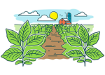 Farmmoguls