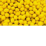 Lemon Hotel