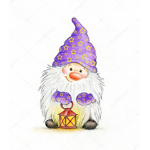 Gnome people